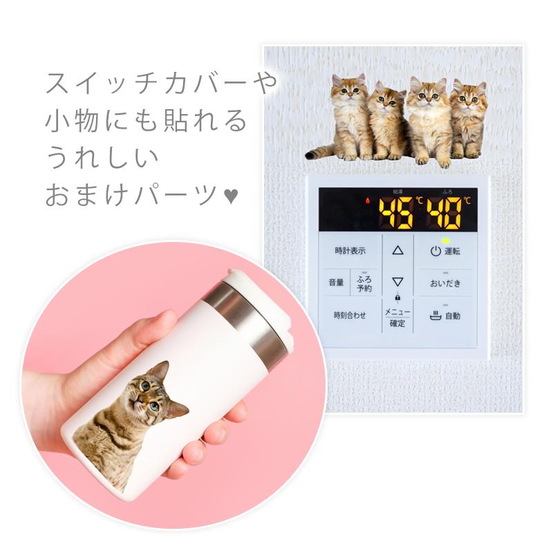 ウォールステッカー 飾り 動物 猫 ねこ 【にゃんこライフ】 はがせる 壁 シール おしゃれ 植物 北欧 観葉植物 木 実写 インテリア 受注印刷 |  | 02