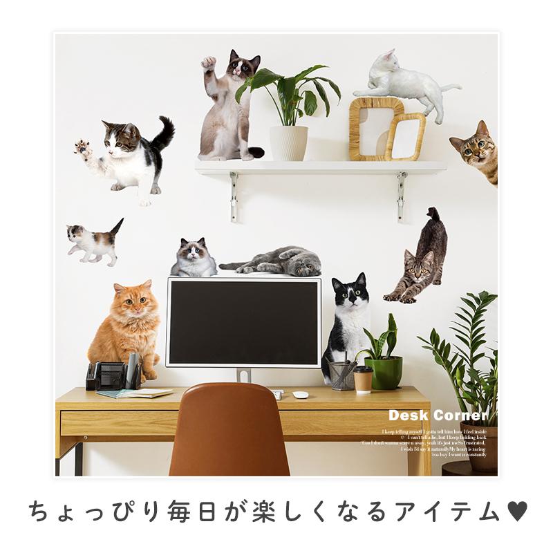 ウォールステッカー 飾り 動物 猫 ねこ 【にゃんこライフ】 はがせる 壁 シール おしゃれ 植物 北欧 観葉植物 木 実写 インテリア 受注印刷 |  | 03