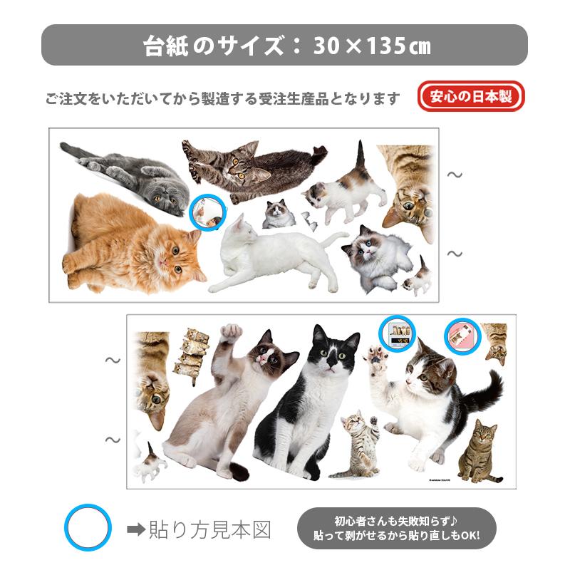 ウォールステッカー 飾り 動物 猫 ねこ 【にゃんこライフ】 はがせる 壁 シール おしゃれ 植物 北欧 観葉植物 木 実写 インテリア 受注印刷 |  | 04