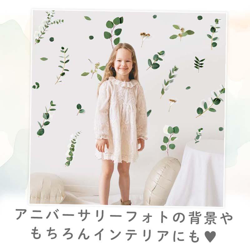 ウォールステッカー  誕生日 バースデー 飾り 【トスグリーン】 はがせる 壁 シール ハーフバースデー 飾りつけ おしゃれ 植物 北欧 観葉植物 受注印刷 |  | 01