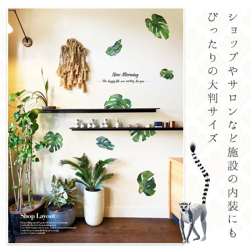 ウォールステッカー はがせる シール 壁紙 モンステラ 南国 植物 夏 リゾート ハワイ 木 葉 草 葉っぱ 木 観葉植物 受注印刷 |  | 06