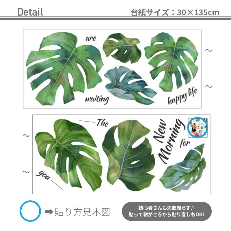 ウォールステッカー はがせる シール 壁紙 モンステラ 南国 植物 夏 リゾート ハワイ 木 葉 草 葉っぱ 木 観葉植物 受注印刷 |  | 08