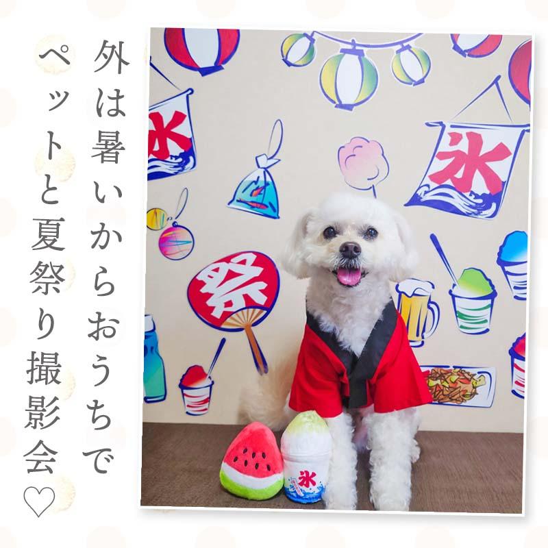 ウォールステッカー おうち縁日 お祭り 夏 はがせる 壁 シール ステッカー 壁紙 飾りつけ おまつり 夏祭り 祭 祭り まつり ちょうちん レトロ 昭和レトロ 昔風 | ウォールステッカーのスクウェア | 16