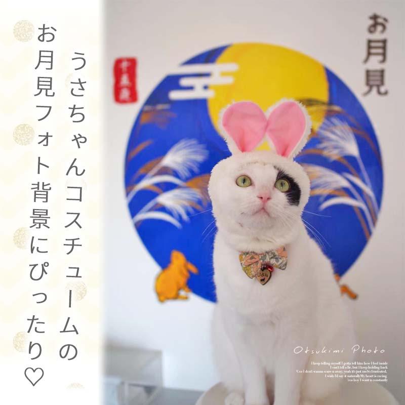 ウォールステッカー はがせる 壁 シール ステッカー 壁紙 大きい 飾り 飾りつけ おしゃれ 北欧 植物 花 動物 身長計 子供部屋 海 猫 動物 トイレ 文字 |  | 12
