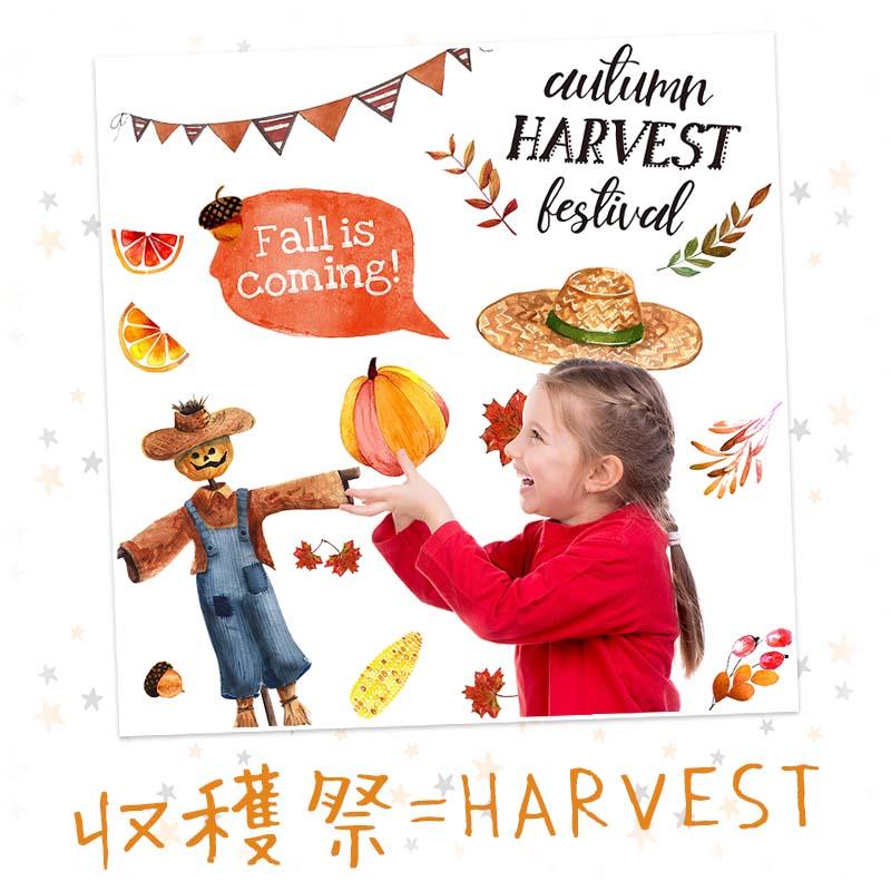 ウォールステッカー はがせる 壁 シール ステッカー 壁紙 大きい 飾り 飾りつけ おしゃれ 北欧 植物 花 動物 身長計 子供部屋 海 猫 動物 トイレ 文字 |  | 03