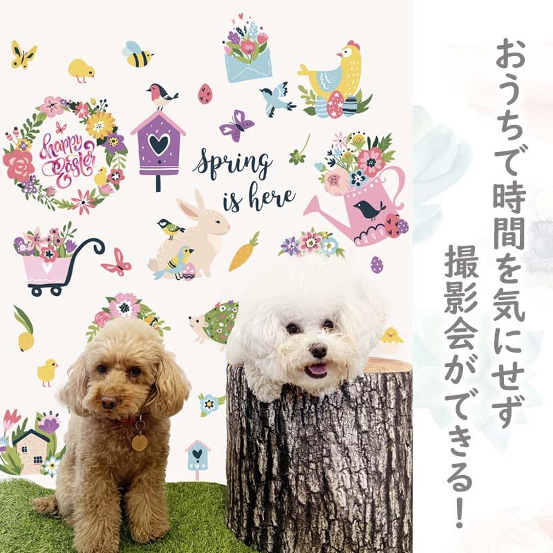 ウォールステッカー イースター 【イースターガーデン】 はがせる 壁 シール ステッカー 壁紙 飾りつけ おしゃれ 北欧 植物 木 葉 草 花 観葉植物 |  | 09