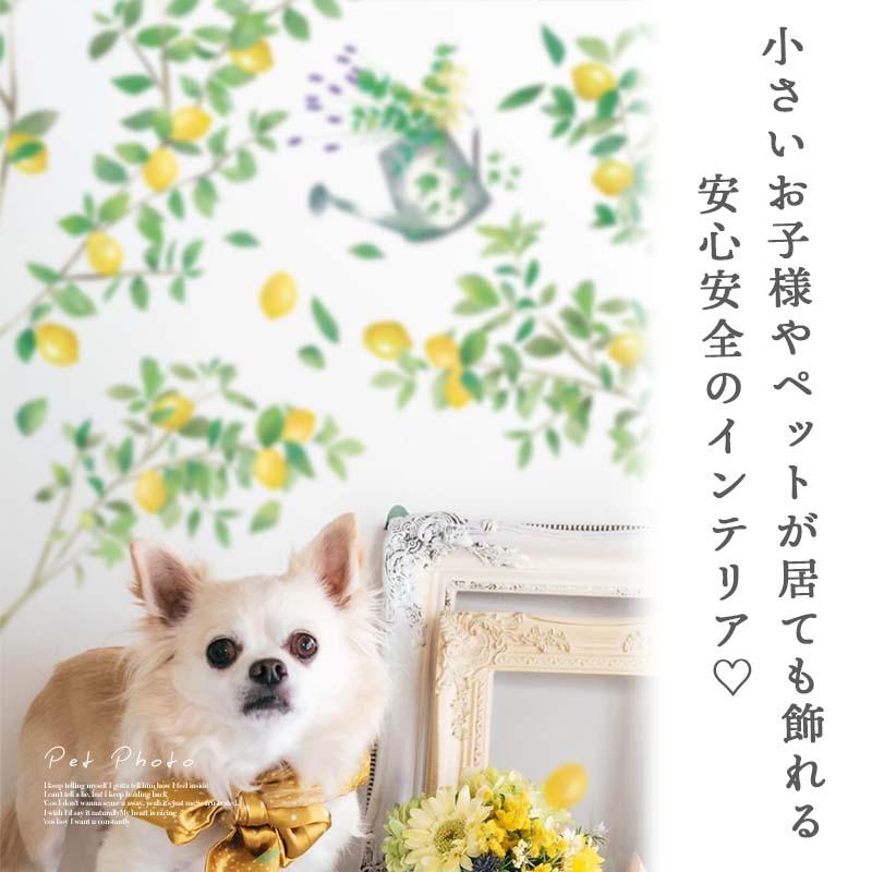 /高品質 50枚セット 人気 3D ウォールステッカー 壁紙//京野美子出品E 高品質 50枚セット 人気 3D ウォールステッカー 壁紙//京野美子出品E