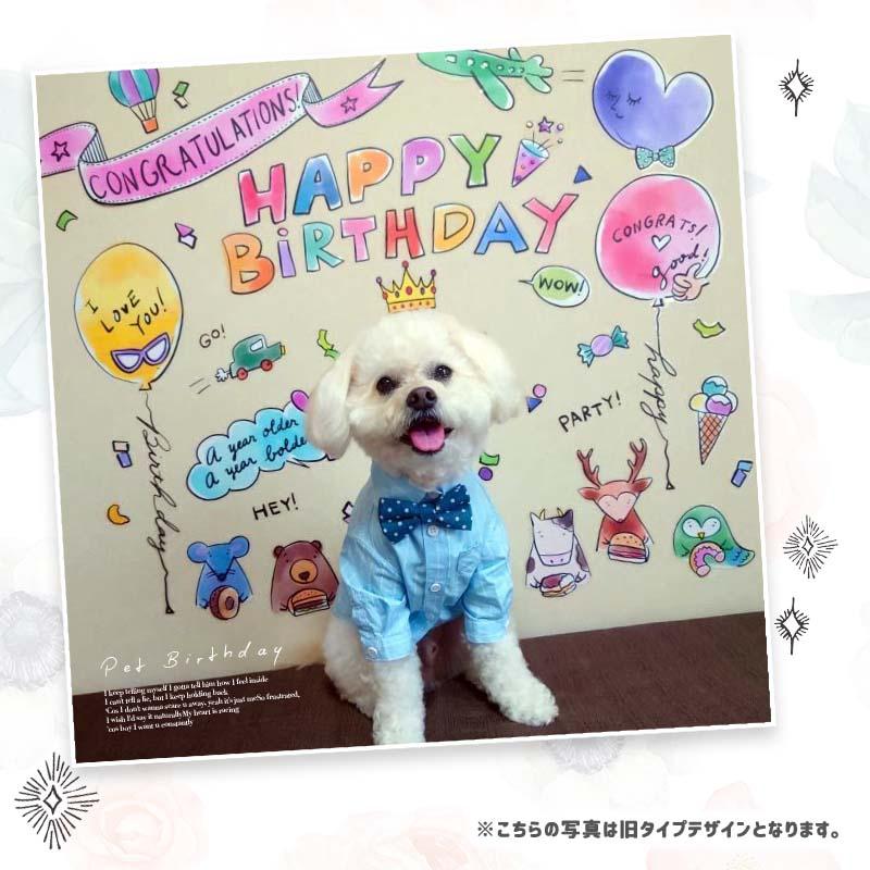 誕生日 飾り付け ウォールステッカー バースデー プリンセス 男の子 女の子 ぽっぴーバースデー | マジックスクウェア | 02