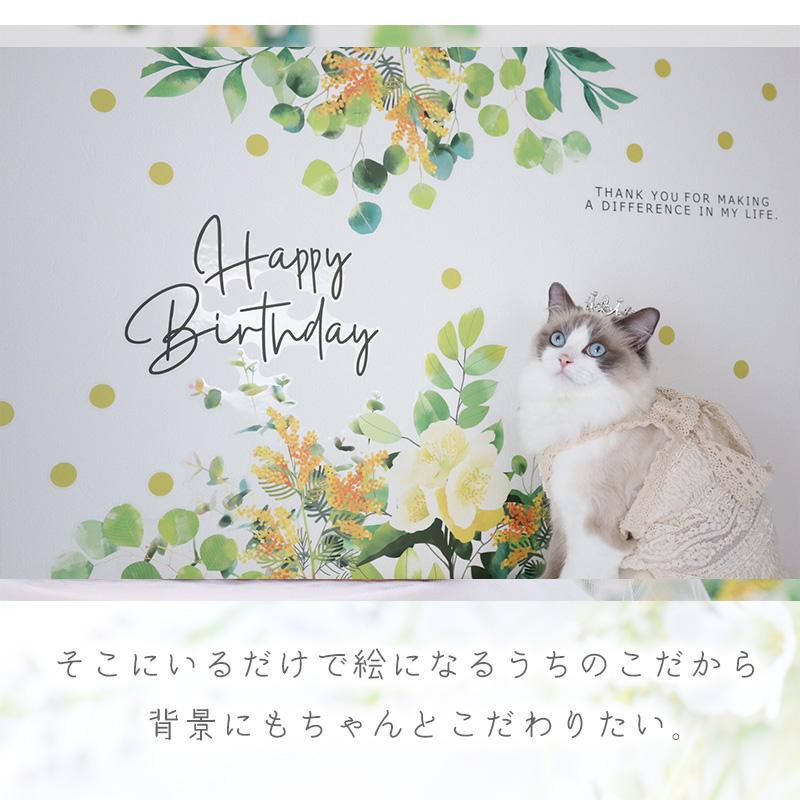 ウォールステッカー はがせる 壁 シール ステッカー 壁紙 大きい 飾り 飾りつけ おしゃれ 北欧 植物 花 動物 身長計 子供部屋 海 猫 動物 トイレ 文字 | マジックスクウェア | 14