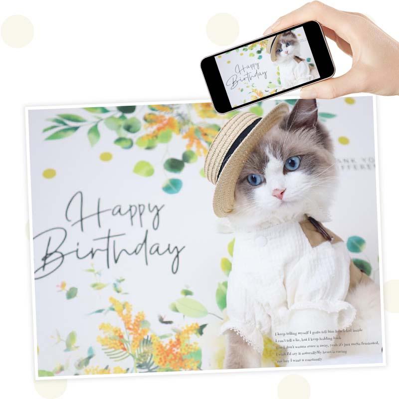 ウォールステッカー はがせる 壁 シール ステッカー 壁紙 大きい 飾り 飾りつけ おしゃれ 北欧 植物 花 動物 身長計 子供部屋 海 猫 動物 トイレ 文字 | マジックスクウェア | 04