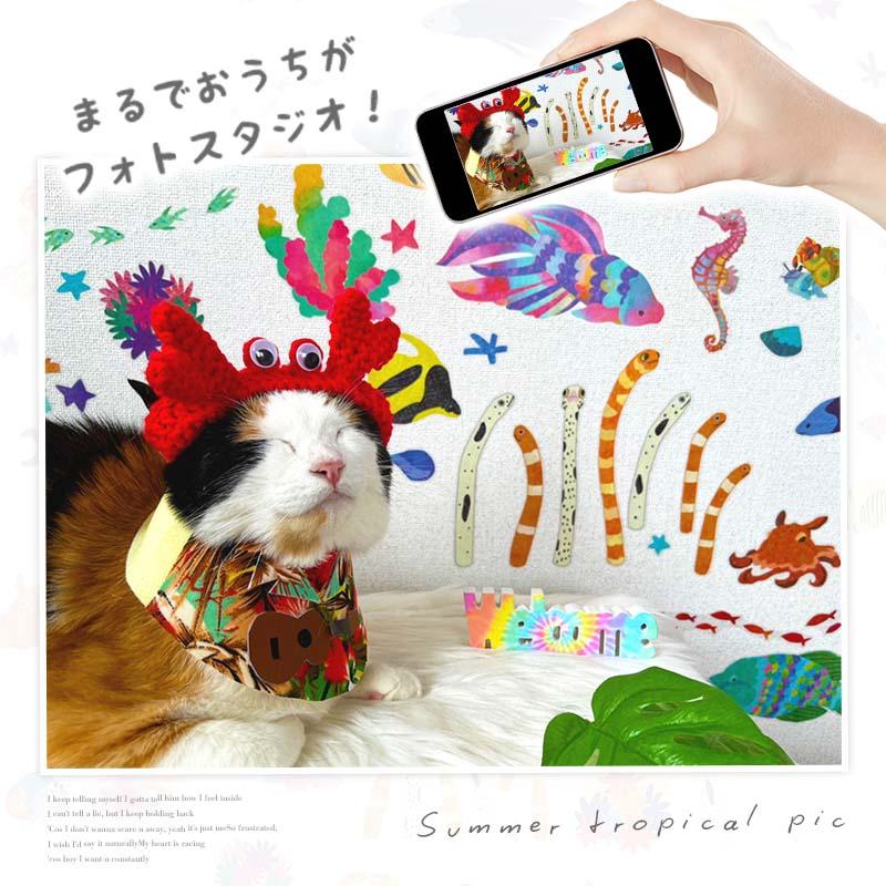 ウォールステッカー 海の生き物 魚 水族館 【SEAカーニバル】 はがせる 壁 シール ステッカー 壁紙 動物 海 海のなかま 海の動物 海の世界 ヒトデ | マジックスクウェア | 17