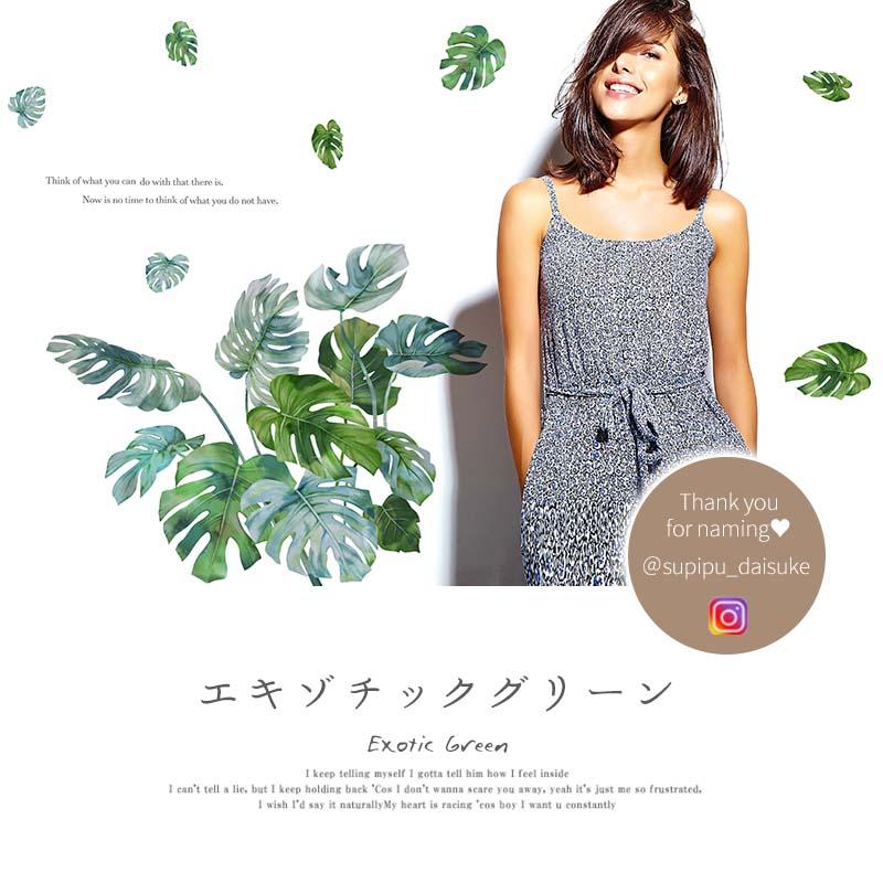 ウォールステッカー エキゾチックグリーン はがせる シール 壁紙 南国 植物 夏 リゾート ハワイ 木 葉 草 葉っぱ 木 観葉植物 受注印刷 |  | 13