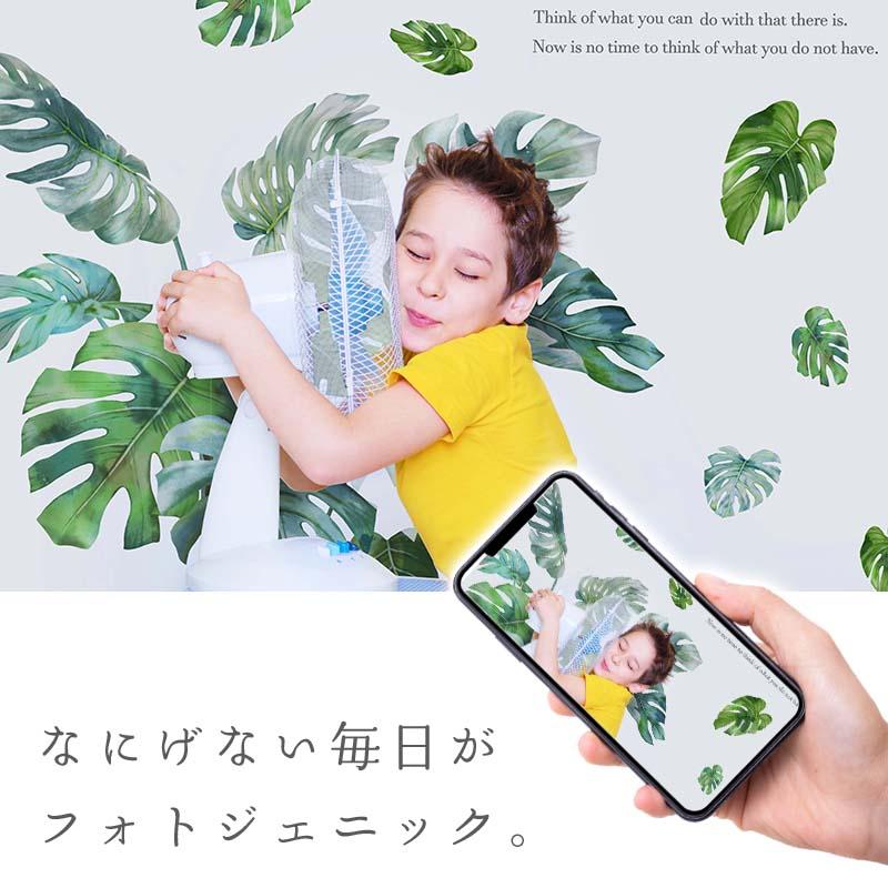 ウォールステッカー エキゾチックグリーン はがせる シール 壁紙 南国 植物 夏 リゾート ハワイ 木 葉 草 葉っぱ 木 観葉植物 受注印刷 |  | 06