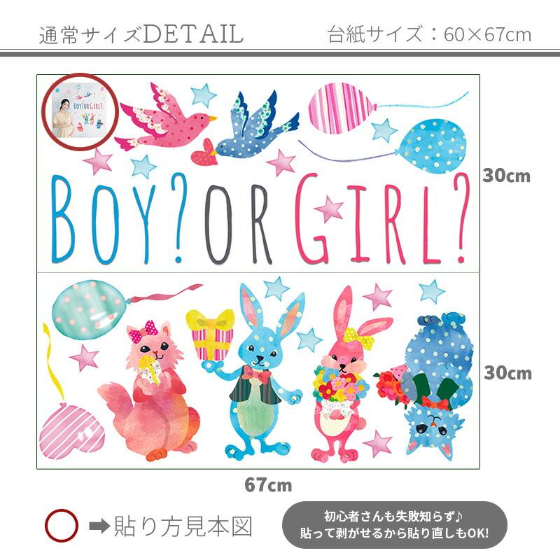 誕生日 フォトブース ウォールステッカー ジェンダーリビール サプライズ 男の子 女の子 | マジックスクウェア | 02