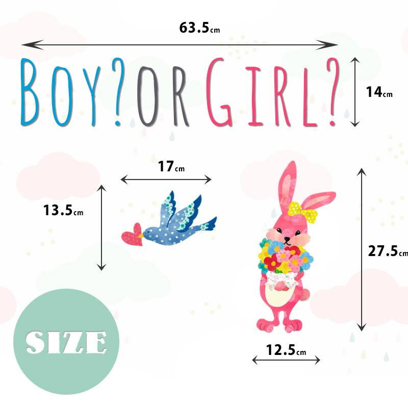 誕生日 フォトブース ウォールステッカー ジェンダーリビール サプライズ 男の子 女の子 | マジックスクウェア | 03