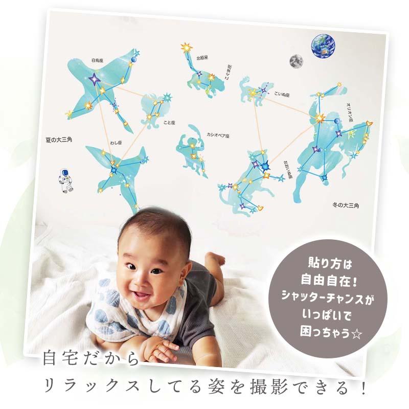 ウォールステッカー 星座の大図鑑 はがせる シール 壁紙 星座 プラネタリウム 飾り 星 夏 宇宙 壁 剥がせる  飾りつけ 飾り付け 子供部屋 受注印刷 |  | 11