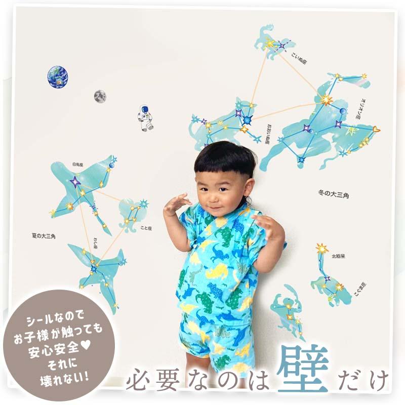 ウォールステッカー 星座の大図鑑 はがせる シール 壁紙 星座