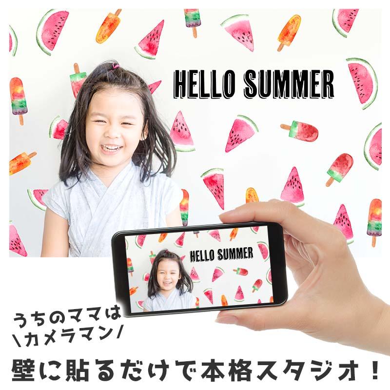 ウォールステッカー 夏 スイカ 飾り トロピカル 南国 おしゃれ はがせる 高級感 アイス お風呂 スイカBAR | マジックスクウェア | 02