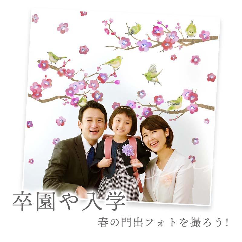 ウォールステッカー 【ピンク！桃の花】 貼ってはがせる 賃貸OK ひな祭り 桃の節句 ひなまつり おひな様 ひな人形 おひなさま 壁 シール おしゃれ 植物 受注印刷 |  | 11