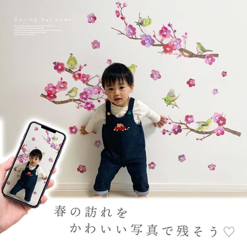 ウォールステッカー 【ピンク！桃の花】 貼ってはがせる 賃貸OK ひな祭り 桃の節句 ひなまつり おひな様 ひな人形 おひなさま 壁 シール おしゃれ 植物 受注印刷 |  | 03