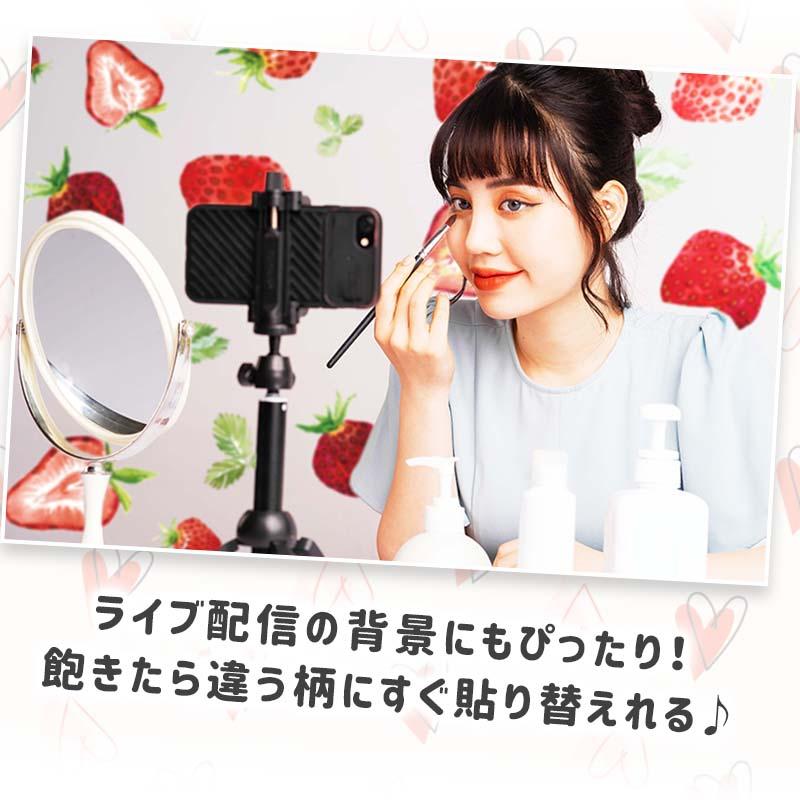 ウォールステッカー いちご 貼ってはがせる 壁 シール 賃貸OK 北欧  かわいい おしゃれ プリンセス ガーリー ストロベリー フルーツ 果物 赤 レッド イチゴ 苺 |  | 06