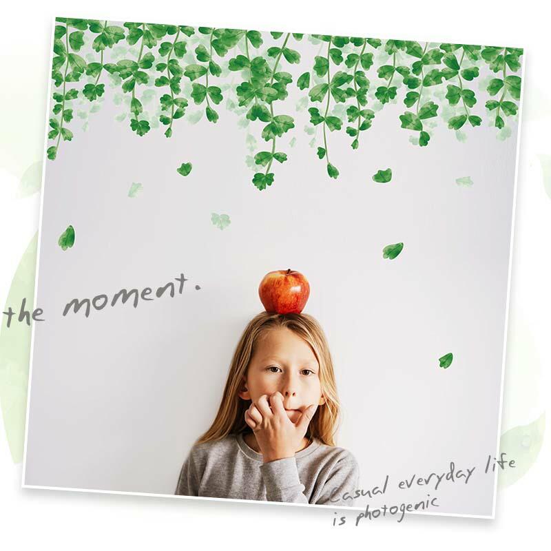 ウォールステッカー はがせる シール 壁紙  みどりのカーテン 飾り 木 葉 草 花 観葉植物 グリーン みどり 緑 植物 フラワー 垂れ下がる草 アイビー 垂れ下がる |  | 07