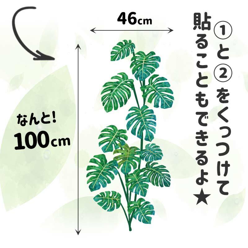 ウォールステッカー 木 花 大きい モンステラ 飾り はがせる トロピカル シール 壁紙 植物 オアシスモンステラ | マジックスクウェア | 06
