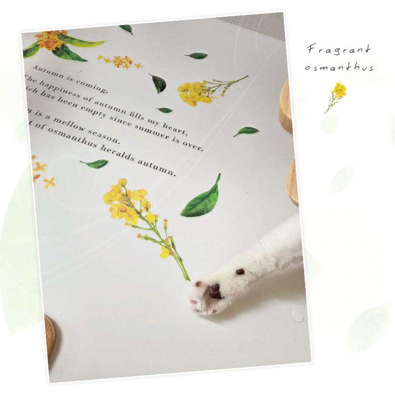 ウォールステッカー 飾り キンモクセイ 【香る金木犀】  はがせる 壁 シール ステッカー 大きい 壁紙 飾りつけ 飾り おしゃれ 北欧 植物 木 葉 草 花 受注印刷 |  | 15