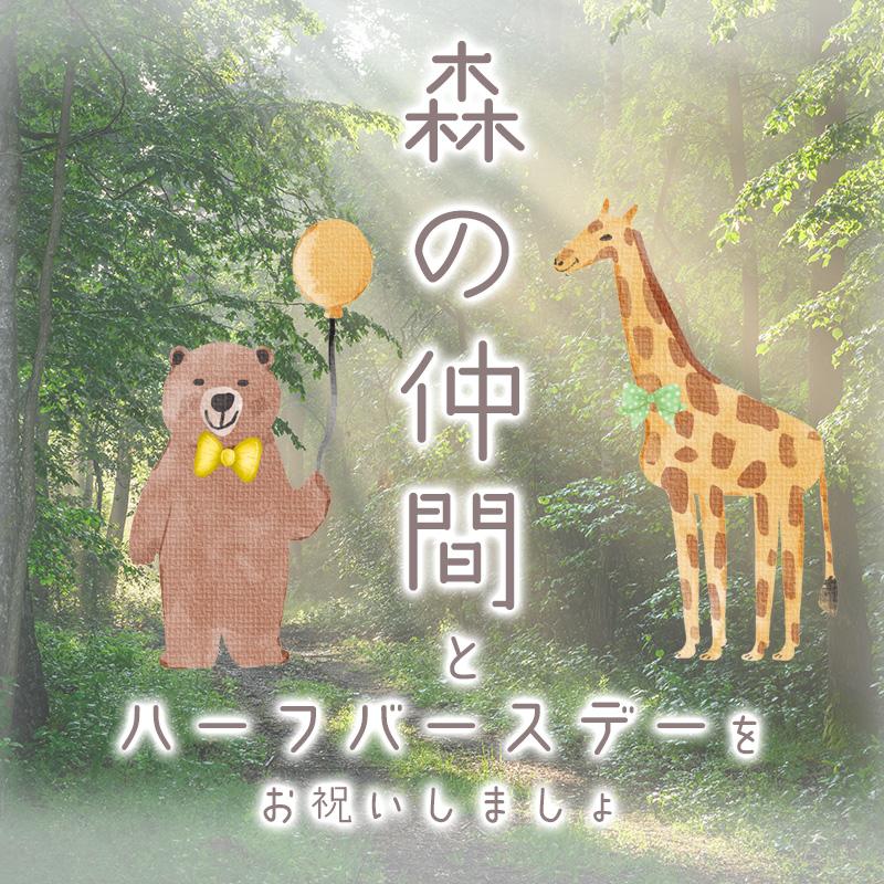 ウォールステッカー ハーフバースデー 森のハーフバースデー 誕生日 くま きりん パンダ ライオン はがせる 壁 シール 壁紙 飾りつけ 受注生産 | マジックスクウェア | 01