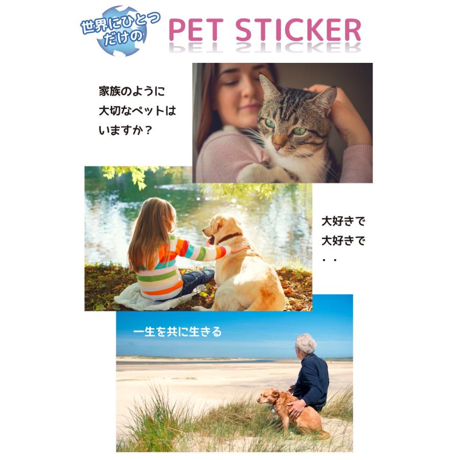 名入れ ウォールステッカー 送料無料 ペット  世界に一つだけのペットステッカー(大)  受注製作 ペット 犬 ラブラドール |  | 01