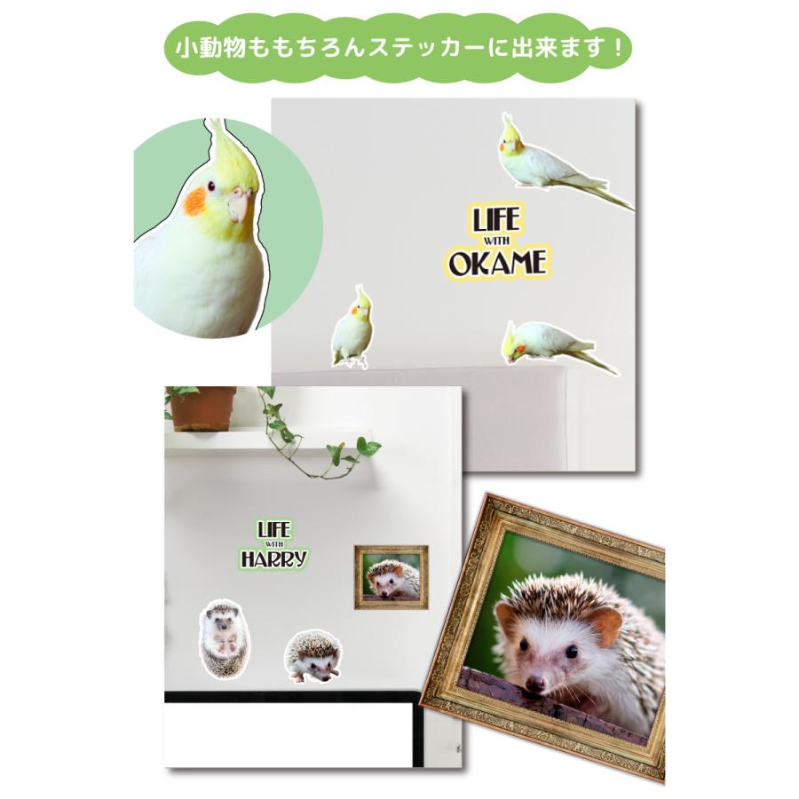 名入れ ウォールステッカー 送料無料 ペット  世界に一つだけのペットステッカー(大)  受注製作 ペット 犬 ラブラドール |  | 04