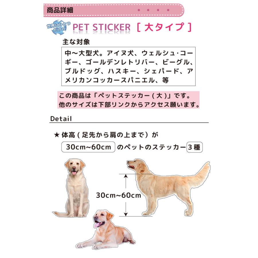 名入れ ウォールステッカー 送料無料 ペット  世界に一つだけのペットステッカー(大)  受注製作 ペット 犬 ラブラドール |  | 05