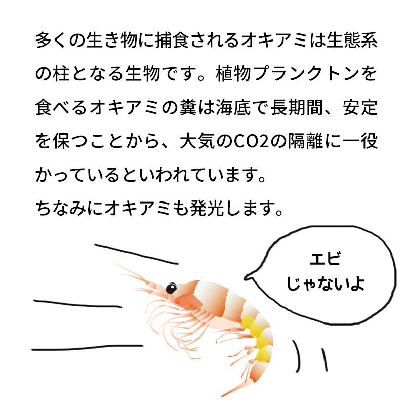 ウォールステッカー ホウライエソ 深海 生物 魚 深海魚 オキアミ 怖い かっこいい かわいい きもい 蓄光シート 光る 受注印刷 Wm0001 2 ウォールステッカーのスクウェア 通販 Yahoo ショッピング
