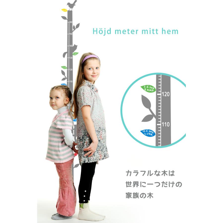 ウォールステッカー 身長計 木 【わが家の身長計】壁掛け かわいい 数字を記入できる 葉 出産祝い 卒園 卒業 入園 入学 記念 北欧 モノトーン 省スペース |  | 04