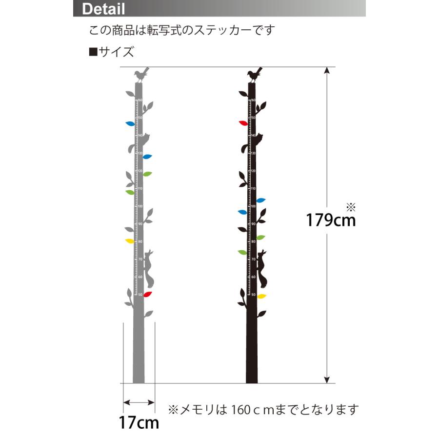 ウォールステッカー 身長計 木 【わが家の身長計】壁掛け かわいい 数字を記入できる 葉 出産祝い 卒園 卒業 入園 入学 記念 北欧 モノトーン 省スペース |  | 07