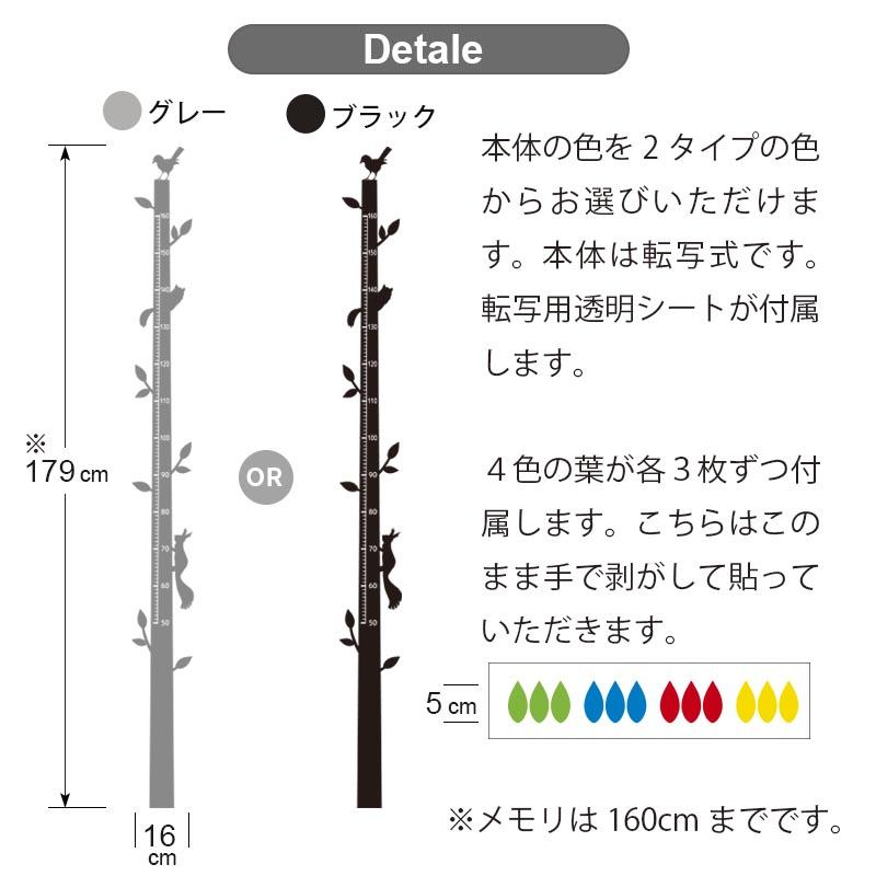 ウォールステッカー 身長計 木 【わが家の身長計】壁掛け かわいい 数字を記入できる 葉 出産祝い 卒園 卒業 入園 入学 記念 北欧 モノトーン 省スペース |  | 07