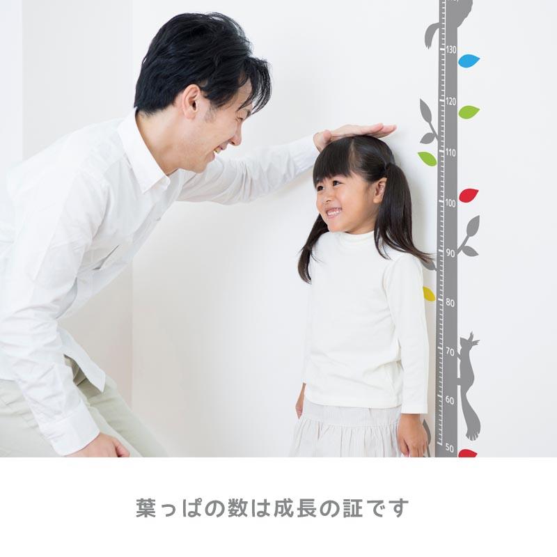 ウォールステッカー 身長計 木 【わが家の身長計】壁掛け かわいい 数字を記入できる 葉 出産祝い 卒園 卒業 入園 入学 記念 北欧 モノトーン 省スペース |  | 09