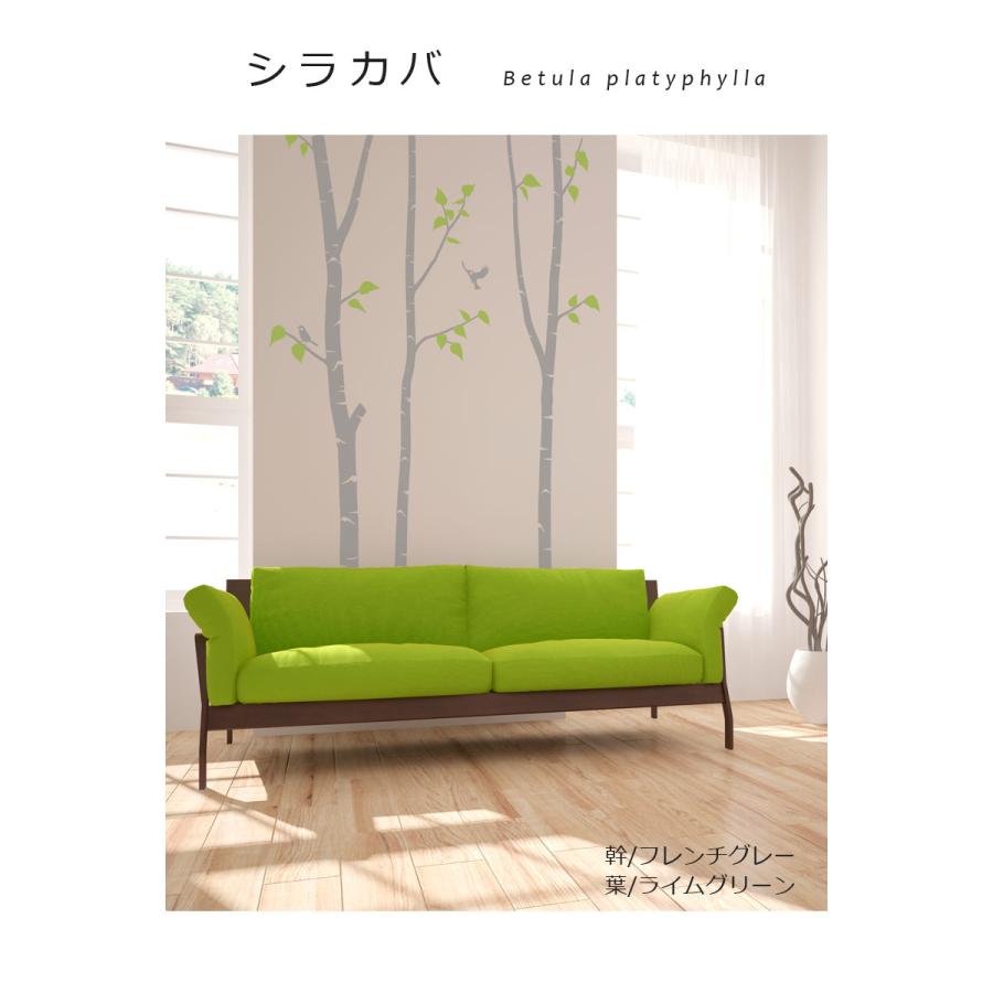 ウォールステッカー 木   シラカバ   白樺 鳥 小鳥 葉 シジュウカラ デザイン かわいい 転写式 カッティングシート 北欧 |  | 01