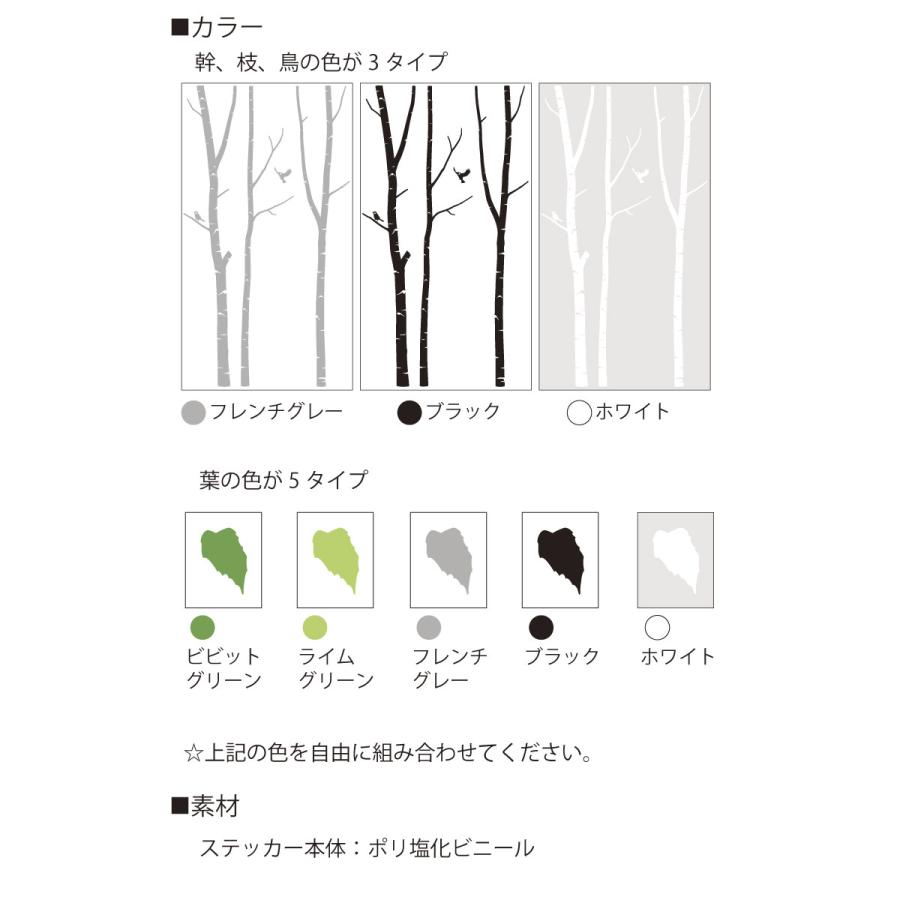 ウォールステッカー 木   シラカバ   白樺 鳥 小鳥 葉 シジュウカラ デザイン かわいい 転写式 カッティングシート 北欧 |  | 06