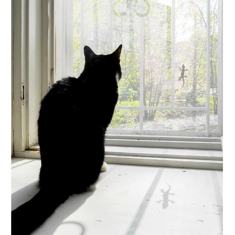 ウォールステッカー 【 ヤモリ 】 15cm 転写式 爬虫類 トカゲ とかげ やもり モノトーン ステッカー ニホンヤモリ ドット 壁紙 受注生産 メール便可 |  | 02