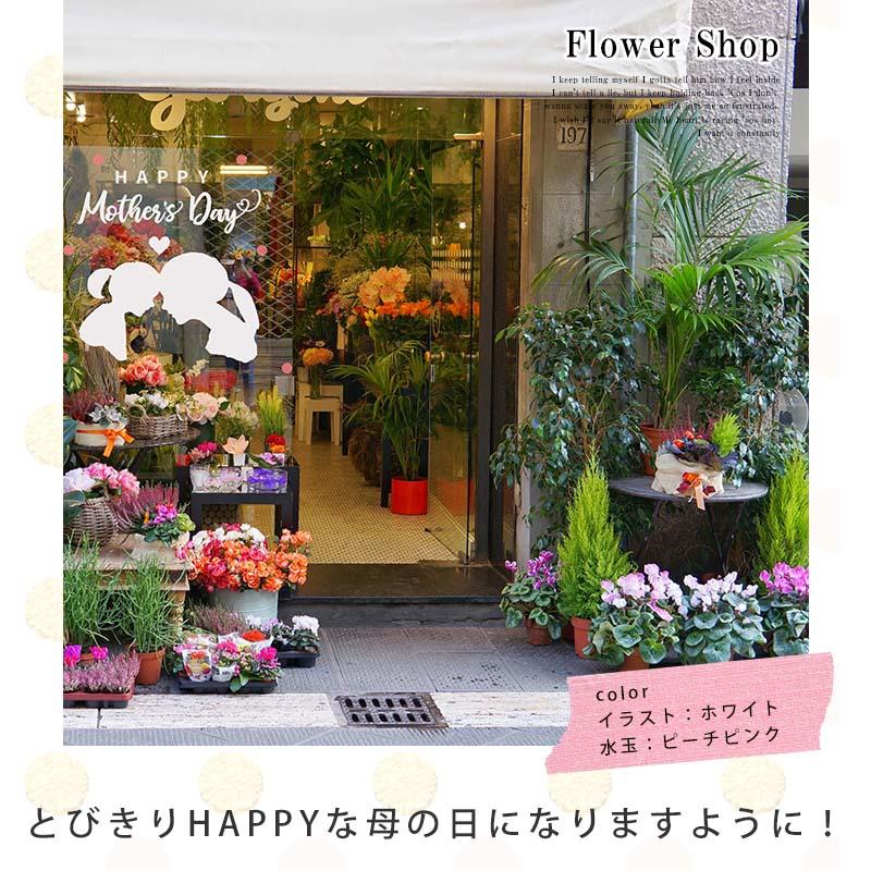 ウォールステッカー 送料無料 母の日 飾り プレゼント Happy Mother's Day 通常サイズ   転写式 お母さん カーネーション |  | 14