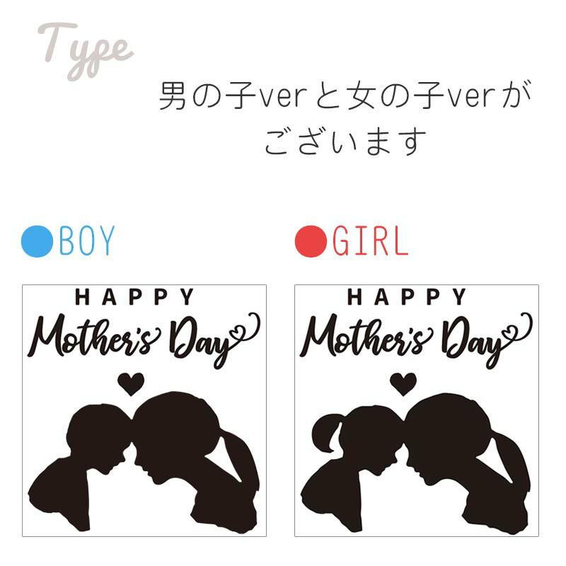 ウォールステッカー 送料無料 母の日 飾り プレゼント Happy Mother's Day 通常サイズ   転写式 お母さん カーネーション |  | 05