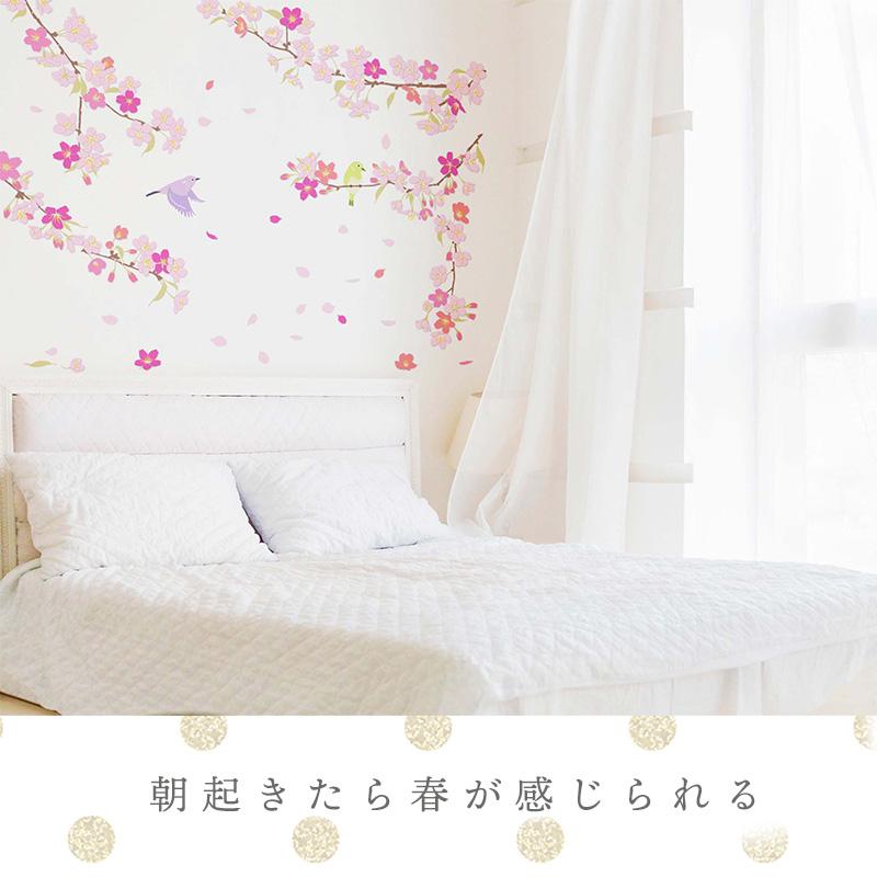 ウォールステッカー 入学 入園 卒業 卒園  桜 ＋ 入学・卒業ステッカー  パーティー 飾り 飾り付け  はがせる 壁紙 お祝い 装飾 飾りつけ 受注生産 |  | 11