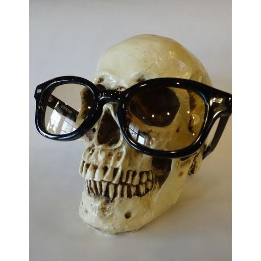 EFFECTOR エフェクター クロマティック CHROMATIC メガネ [BK(BR