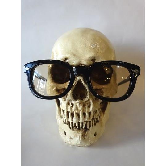 EFFECTOR（エフェクター） EFFECTOR VERSE バース 眼鏡 サングラス