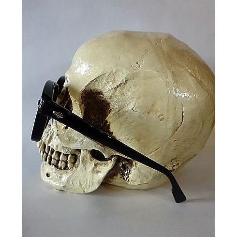 EFFECTOR（エフェクター） EFFECTOR VERSE バース 眼鏡 サングラス