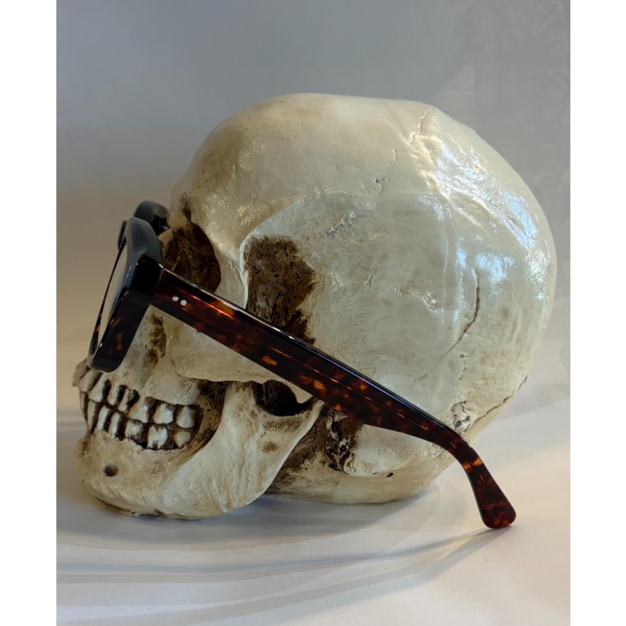 エフェクター EFFECTOR RASCH ラッシュ [TUR タートル] | EFFECTOR | 01