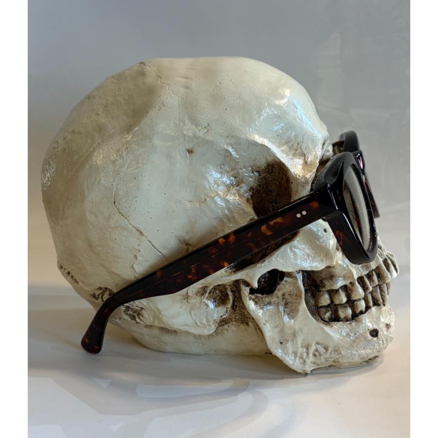 エフェクター EFFECTOR RASCH ラッシュ [TUR タートル] | EFFECTOR | 02