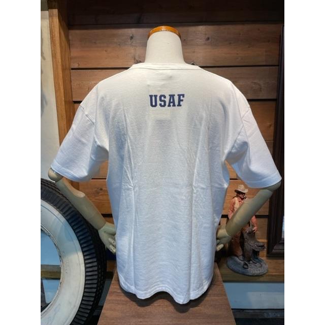 バズリクソンズ/BUZZ RICKSON'S Tシャツ BR79397 GOVERNMENT ISSUE TEE U.S.AIR FORCE WH | BUZZ RICKSON'S | 01
