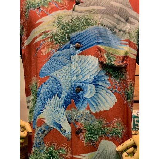 SUN SURF EAGLE OVER HEAD